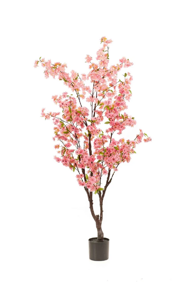 Faux Pink Sakura Trees - S (2) | Emerald Cherry Blossom | Dutchfurniture.com