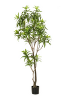 Artificial Potted Green Foliage Set (2) | Emerald Dracaena | Dutchfurniture.com