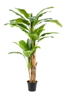 Potted Faux Fruit Tree | Emerald Banana | Dutchfurniture.com