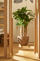 Potted Faux Fruit Tree | Emerald Banana | Dutchfurniture.com