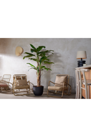 Potted Faux Fruit Tree | Emerald Banana | Dutchfurniture.com