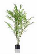 Potted Faux Palm Set (2) | Emerald Chamaedorea | Dutchfurniture.com