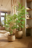Potted Faux Palm Set (2) | Emerald Chamaedorea | Dutchfurniture.com