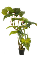 Artificial Elephant Ears Plant Set (2) | Emerald Colocasia On Trunk | Dutchfurniture.com