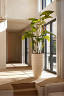 Artificial Elephant Ears Plant Set (2) | Emerald Colocasia On Trunk | Dutchfurniture.com