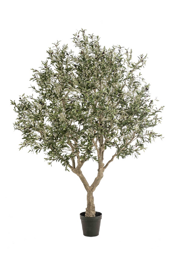 Faux Mediterranean Evergreen Tree | Emerald Olive | Dutchfurniture.com