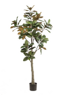 Faux Lily Tree Set (2) | Emerald Magnolia Denudata | Dutchfurniture.com