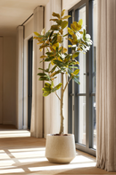 Faux Lily Tree Set (2) | Emerald Magnolia Denudata | Dutchfurniture.com
