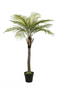 Artificial Date Tree | Emerald Phoenix Palm Deluxe | Dutchfurniture.com