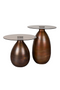 Brown Glass Side Table Set (2) | Dutchbone Selene | Dutchfurniture.com