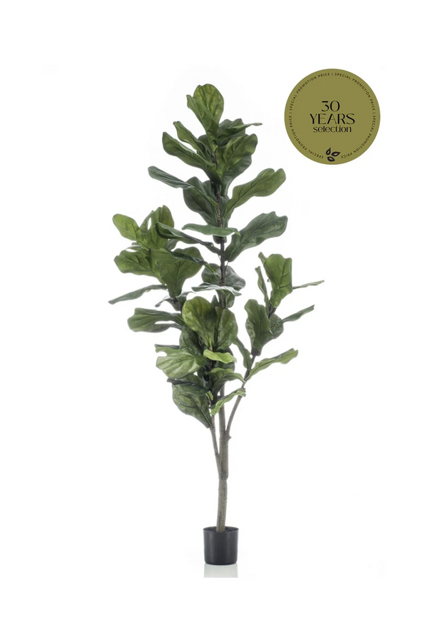 Artificial Fiddle Leaf Plants (2) M | Emerald Ficus Lyrata | Dutchfurniture.com