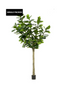 Artificial Fiddle Leaf Plants XXL | Emerald Ficus Lyrata | Dutchfurniture.com