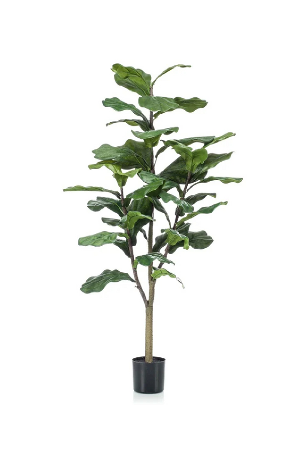 Artificial Fiddle Leaf Plants (4) S | Emerald Ficus Lyrata | Dutchfurniture.com