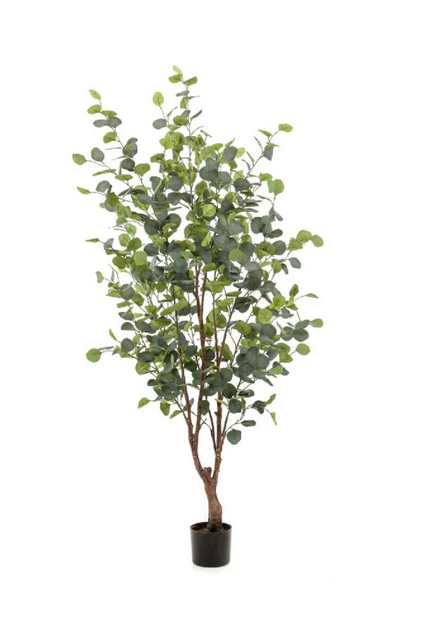 Potted Artificial Tree Set (4) M | Emerald Eucalyptus | Dutchfurniture.com