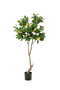 Potted Faux Fruit Trees (2) | Emerald Lemon | Dutchfurniture.com