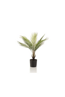 Green Fronds Faux Palm Set (4) M | Emerald Chamaedorea | Dutchfurniture.com