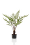 Potted Artificial Green Plants (2) | Emerald Fern | Dutchfurniture.com