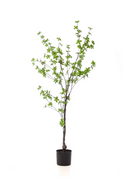 Green Herbaceous Faux Trees (2) S | Emerald Tropaeolum Speciosum | Dutchfurniture.com