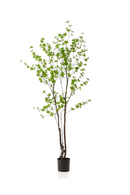 Green Herbaceous Faux Trees (2) M | Emerald Tropaeolum Speciosum | Dutchfurniture.com