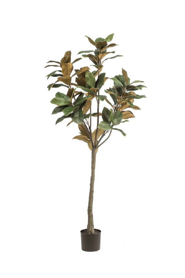 Potted Green Artificial Trees (4) S | Emerald Magnolia Denudata | Dutchfurniture.com