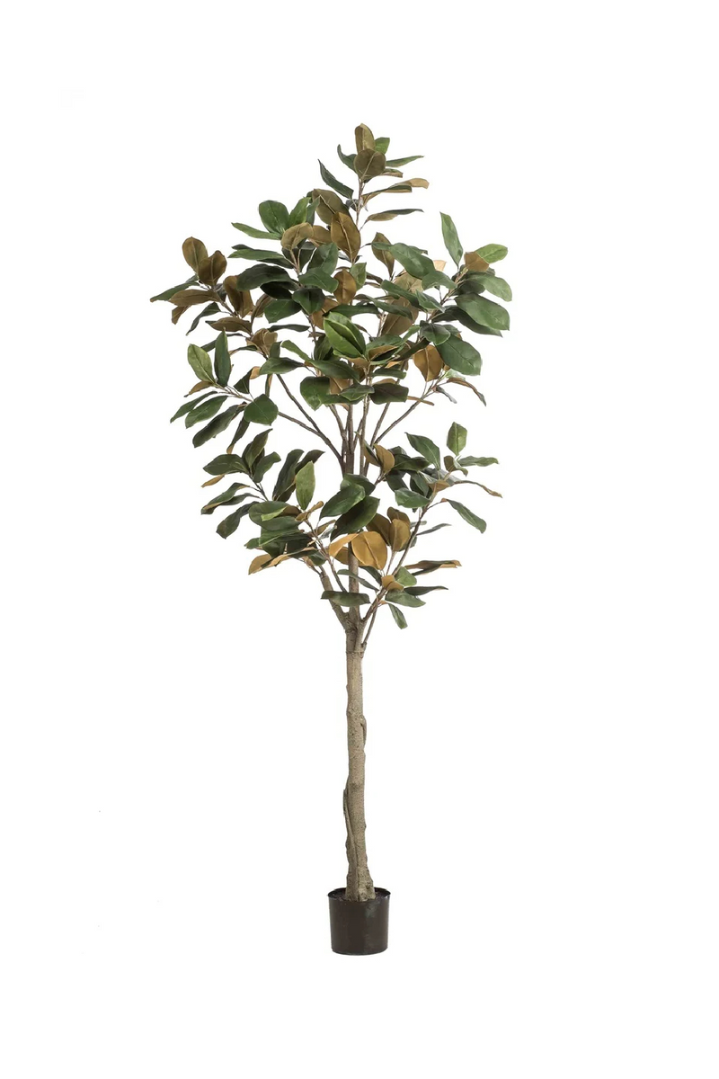 Potted Green Artificial Trees (2) L | Emerald Magnolia Denudata | Dutchfurniture.com