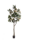 Potted Green Artificial Trees (2) XL | Emerald Magnolia Denudata | Dutchfurniture.com