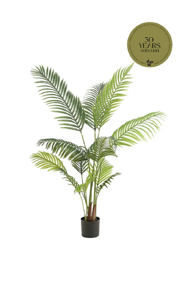 Faux Tropical Palm Set (2) S | Emerald Paradise | Dutchfurniture.com