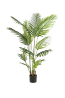 Faux Tropical Palm Set (2) M | Emerald Paradise | Dutchfurniture.com