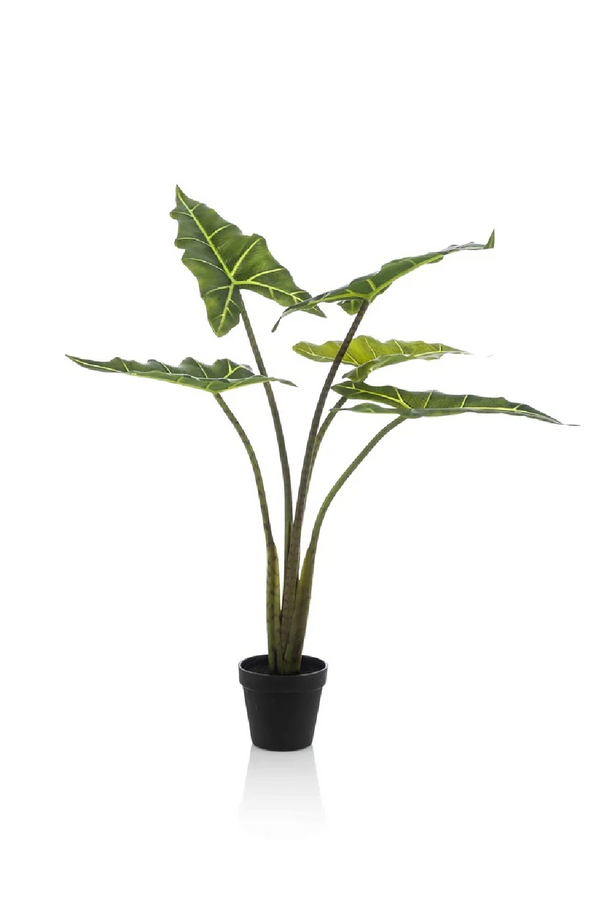 Arrow-Shaped Leaves Faux Houseplants (2) S | Emerald Alocasia | Dutchfurniture.com