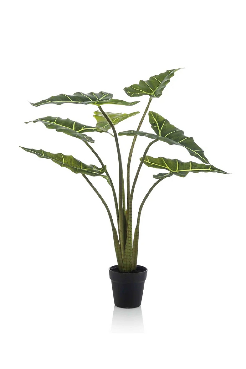 Arrow-Shaped Leaves Faux Houseplants (2) M | Emerald Alocasia | Dutchfurniture.com