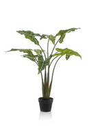 Arrow-Shaped Leaves Faux Houseplants (2) L | Emerald Alocasia | Dutchfurniture.com