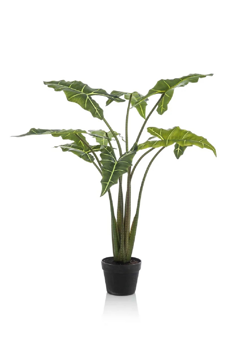 Arrow-Shaped Leaves Faux Houseplants (2) L | Emerald Alocasia | Dutchfurniture.com