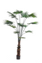Faux Chinese Fan Plants - S (2) | Emerald Palm Livistona | Dutchfurniture.com