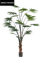 Faux Chinese Fan Plants - M (2) | Emerald Palm Livistona | Dutchfurniture.com