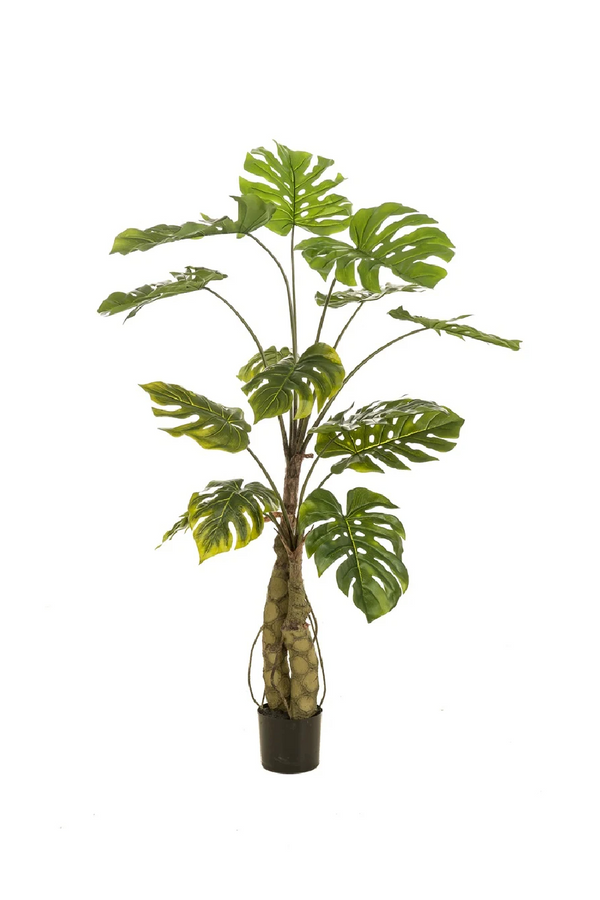 Split-Leaf Faux Plants (2) M | Emerald Monstera on Trunk | Dutchfurniture.com