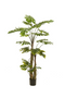 Split-Leaf Faux Plants (2) L | Emerald Monstera on Trunk | Dutchfurniture.com