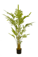 Potted Faux Frond Plants (2) | Emerald Fern | Dutchfurniture.com