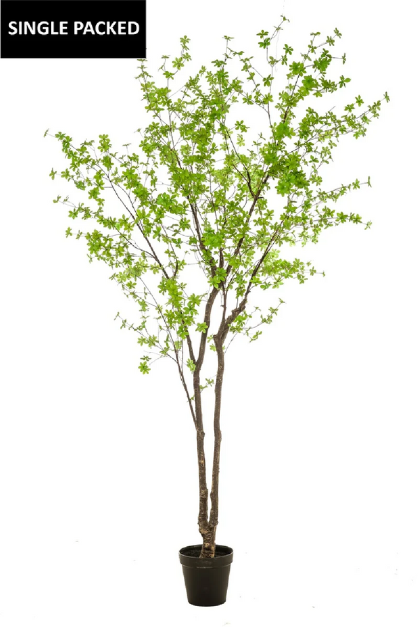 Potted Faux Green Tree | Emerald Tropaeolum | Dutchfurniture.com