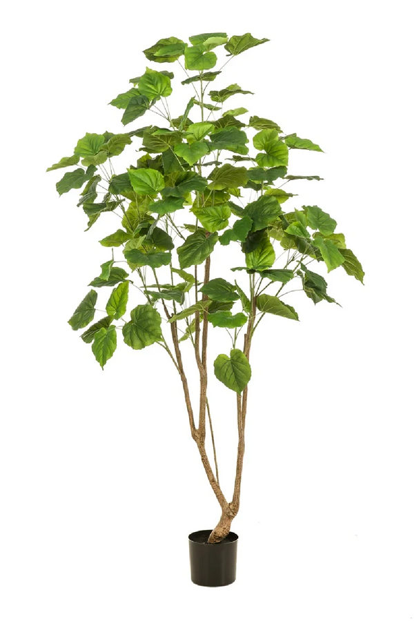 Heart-Shaped Leaf Faux Plants (2) | Emerald Fig | Dutchfurniture.com