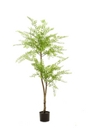 Fine Leaf Faux Trees (2) S | Emerald Sophora | Dutchfurniture.com