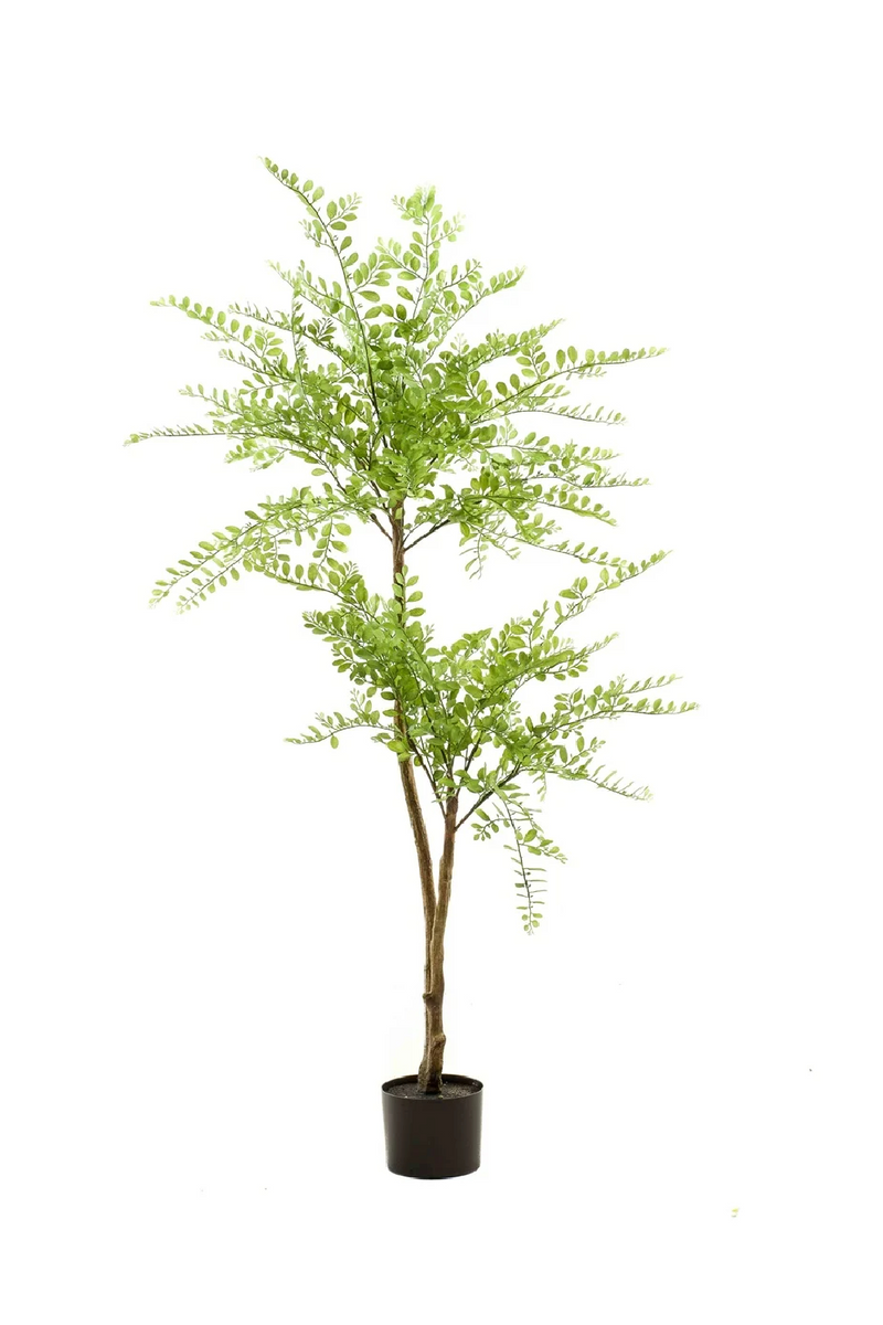 Fine Leaf Faux Trees (2) S | Emerald Sophora | Dutchfurniture.com