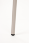 Steel Framed Dining Chairs (2) | DF Franck | Dutchfurniture.com