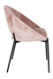 Curved Dining Chairs (2) | DF Dando | Dutchfurniture.com