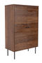 Brown Wooden 2-Door Cabinet | DF Stripes | Oroatrade.com