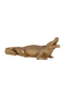Gold Polyresin Reptile Deco Object S | OROA Crocodile | Dutchfurniture.com