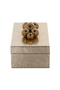 Gold Contemporary Storage Box | OROA Norah | Dutchfurniture.com