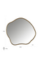 Organic-Shaped Gold Mirror | OROA Allyson | Dutchfurniture.com