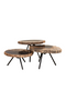 Petrified Wood Coffee Table Set (3) | Versmissen | Dutchfurniture.com