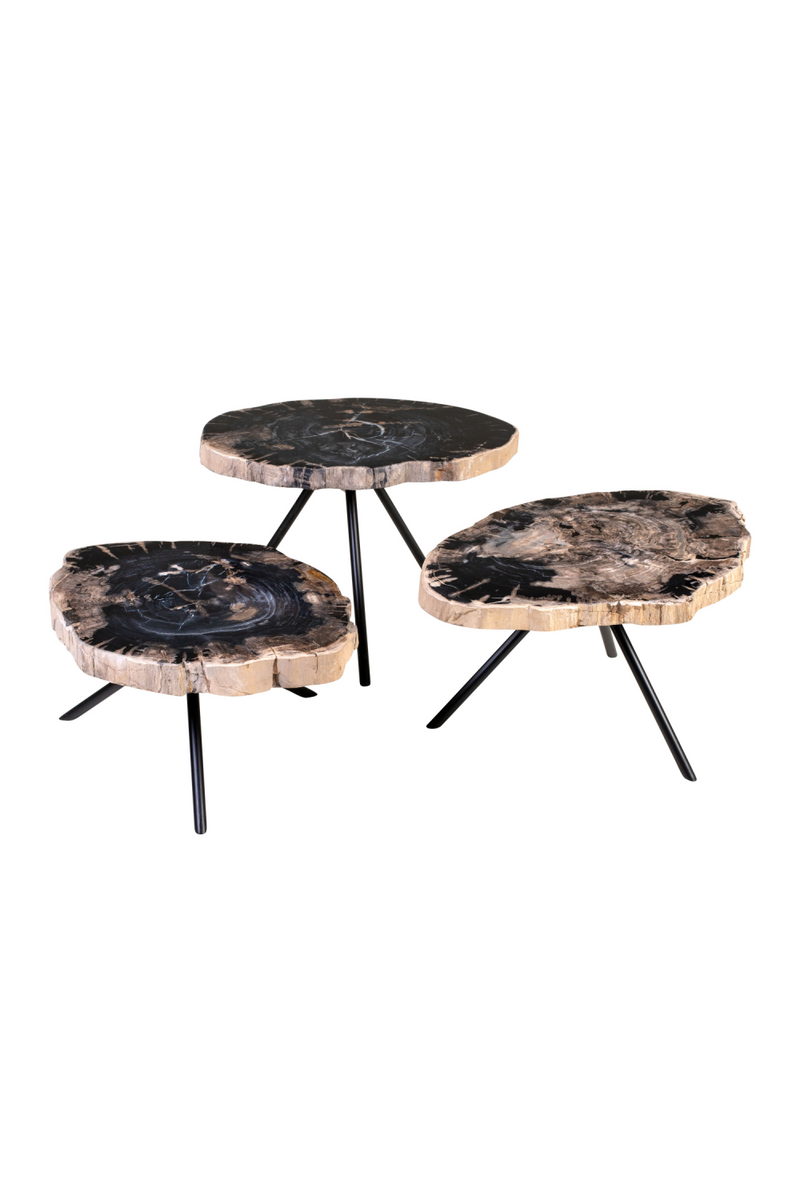 Petrified Wood Coffee Table Set (3) | Versmissen | Dutchfurniture.com
