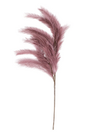 Old Pink Flower Decors M (6) | Bold Monkey I Will Never Fade | DutchFurniture.com